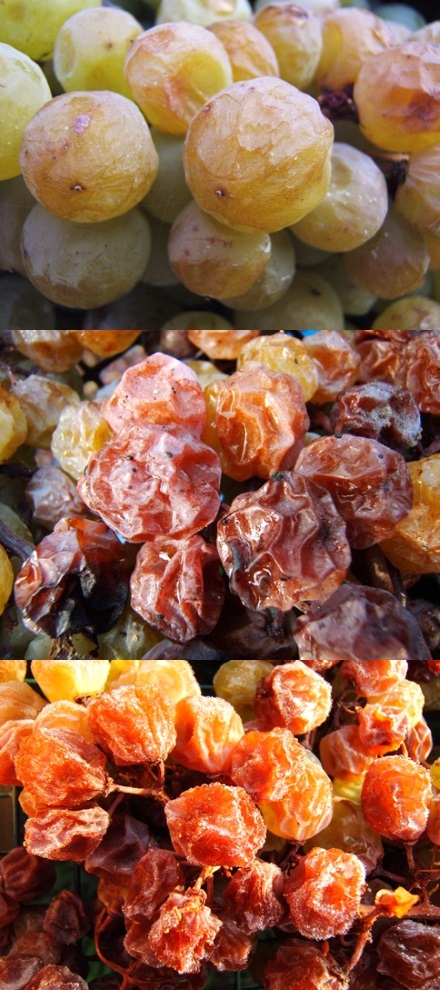 Passito Wines from Piedmont in Bagnario Valley